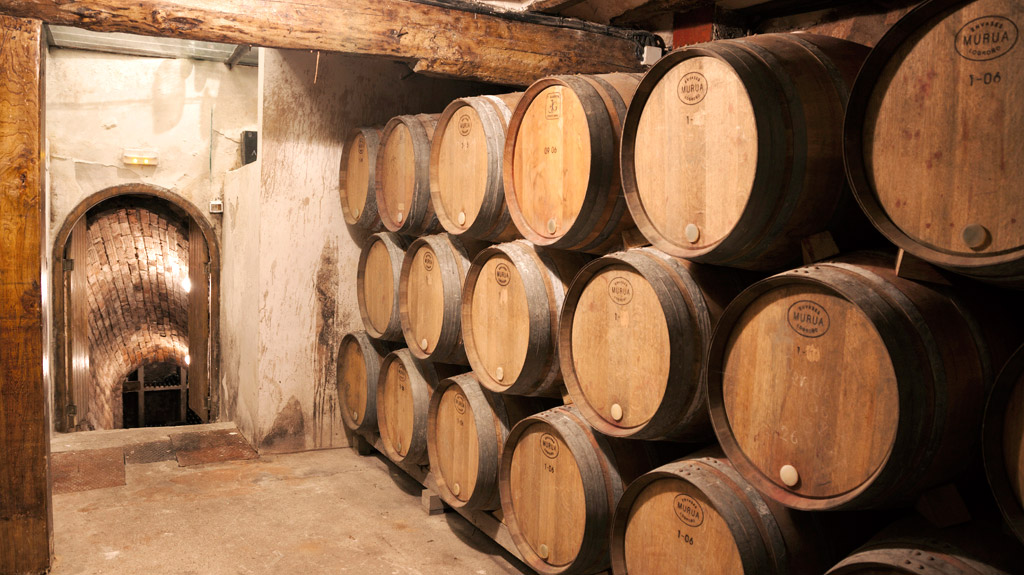 Interior de Bodega Azenari